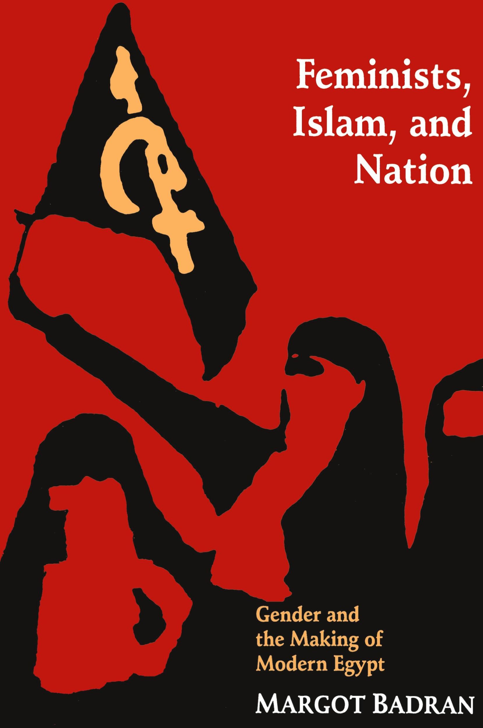 Cover: 9780691026053 | Feminists, Islam, and Nation | Gender and the Making of Modern Egypt