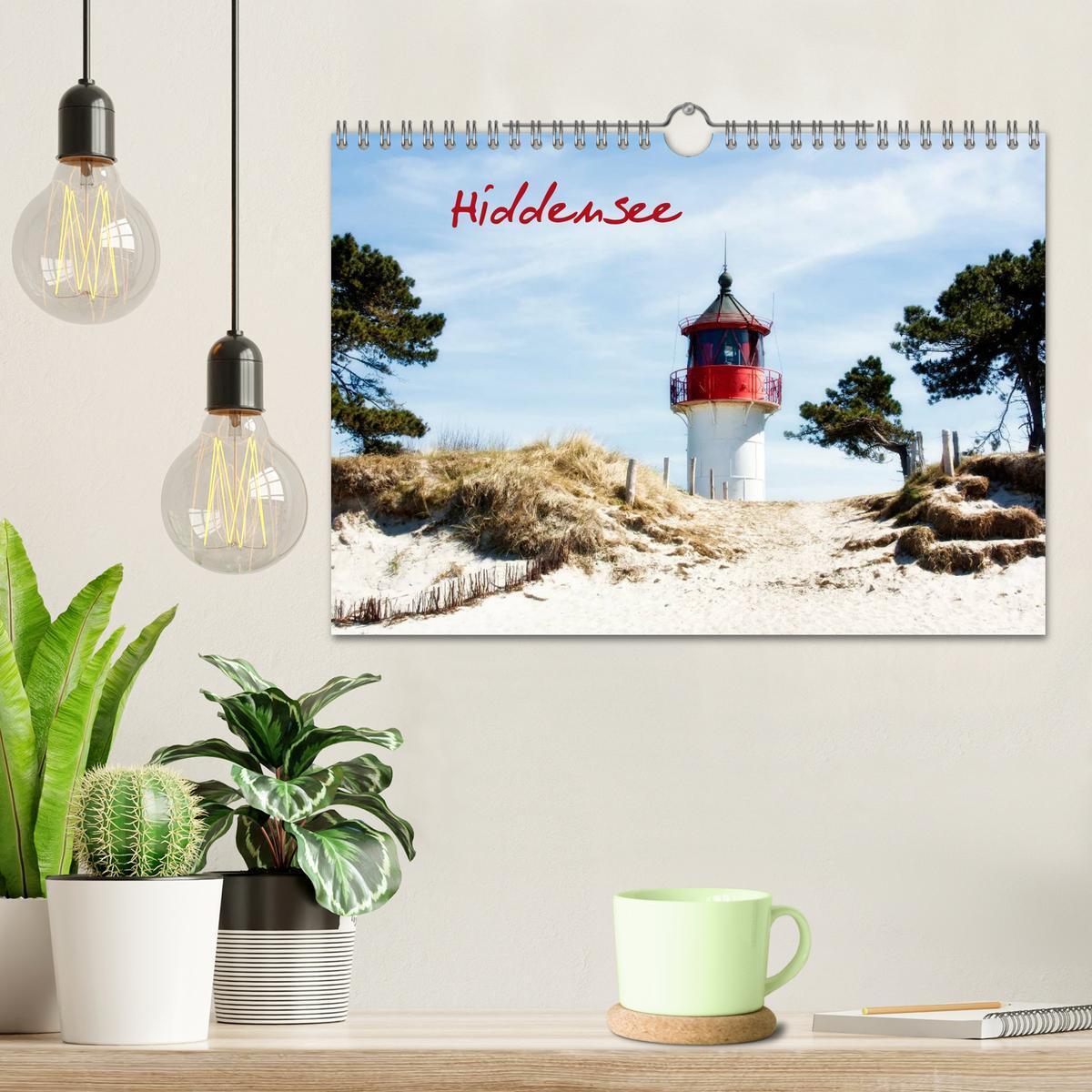 Bild: 9783435755813 | Insel Hiddensee (Wandkalender 2025 DIN A4 quer), CALVENDO...