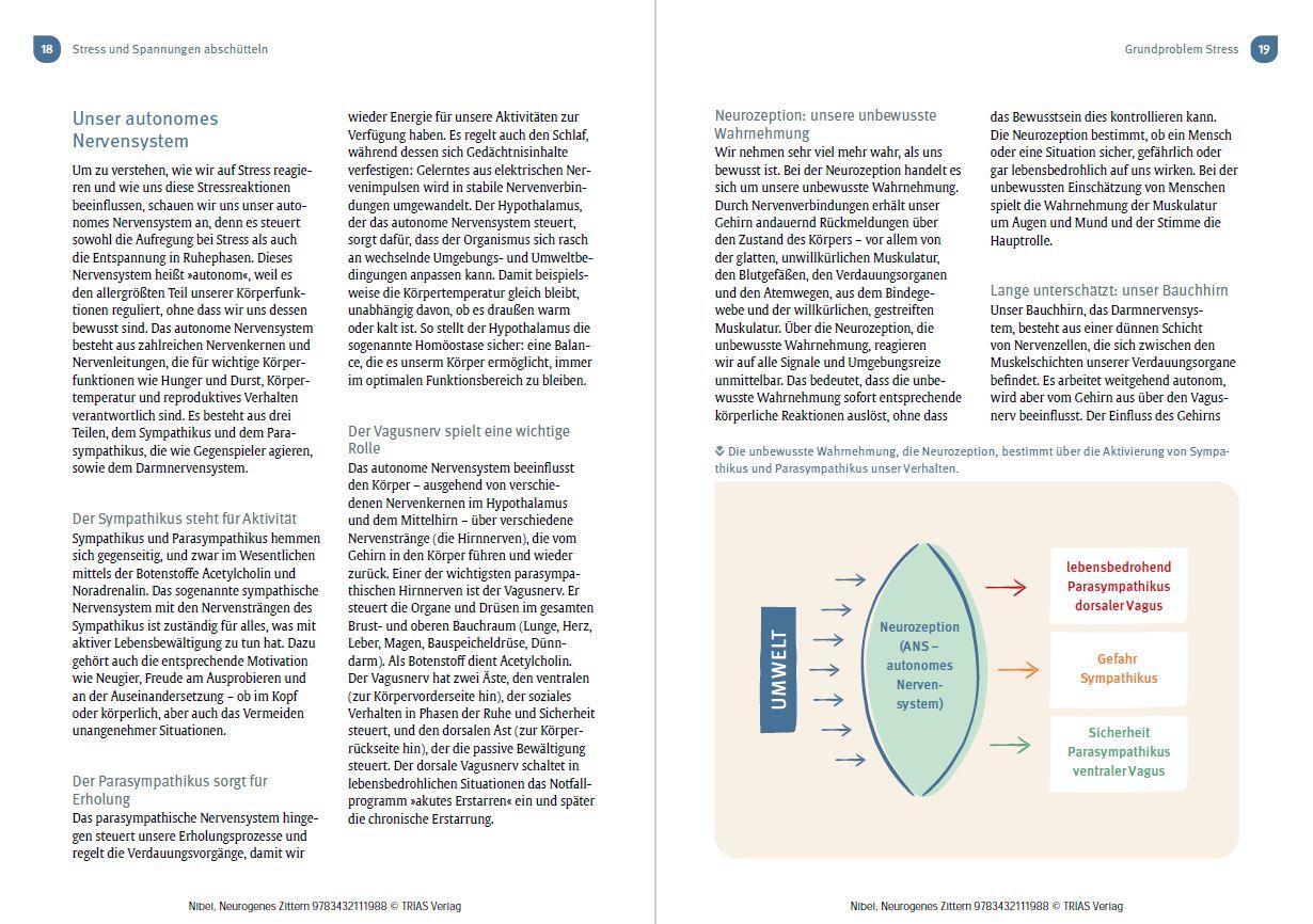 Bild: 9783432118574 | Neurogenes Zittern | Hildegard Nibel (u. a.) | Taschenbuch | 152 S.