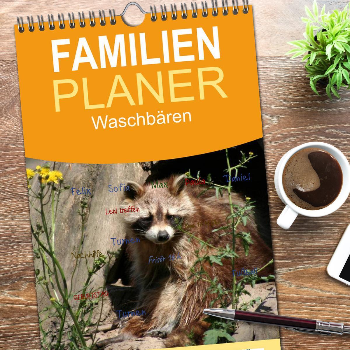 Bild: 9783457124765 | Familienplaner 2025 - Waschbären mit 5 Spalten (Wandkalender, 21 x...