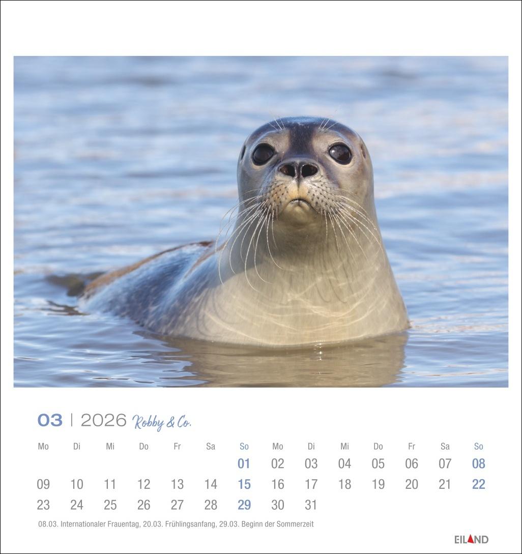 Bild: 9783964024107 | Robby &amp; Co. Postkartenkalender 2026 | Kalender | Spiralbindung | 13 S.