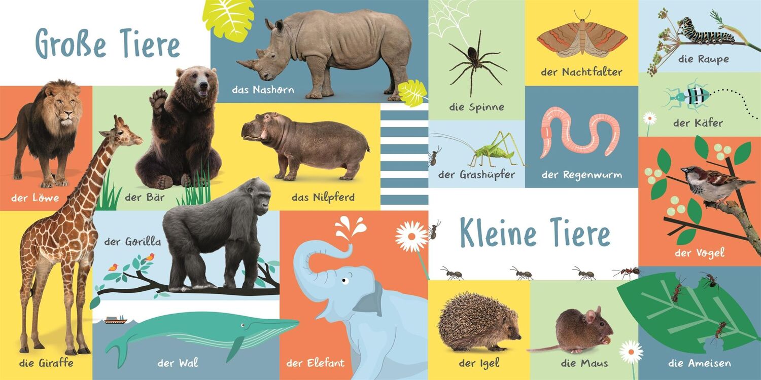 Bild: 9783831046805 | 100 erste Tiere | DK Verlag - Kids | Buch | 16 S. | Deutsch | 2023