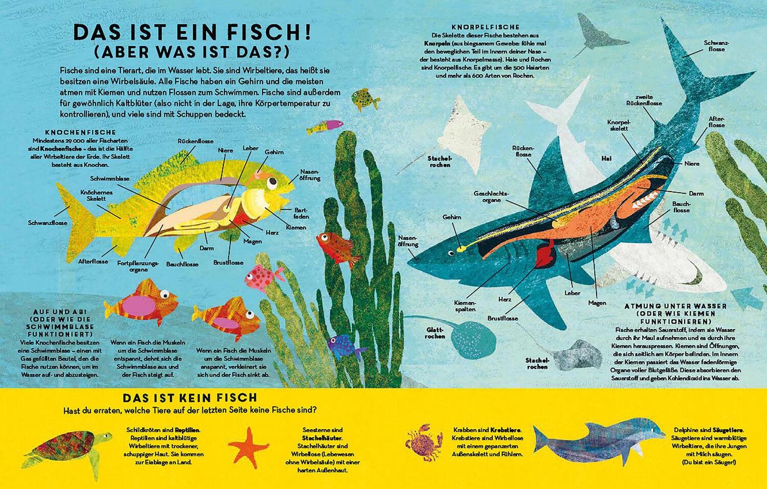 Bild: 9783791373867 | Fische, Fische überall | Britta Teckentrup | Buch | 32 S. | Deutsch