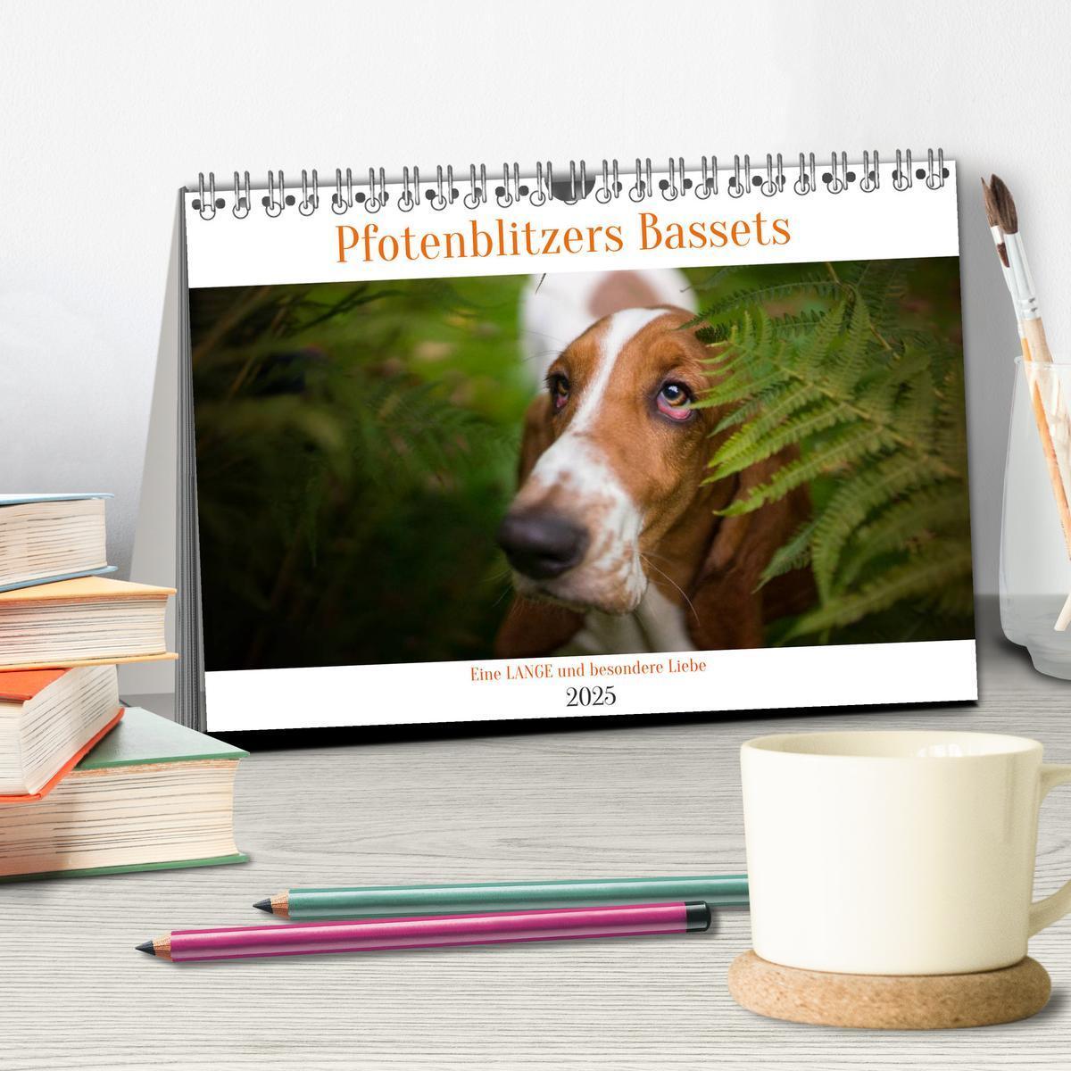 Bild: 9783457183113 | Der Basset, eine LANGE und besondere Liebe (Tischkalender 2025 DIN...