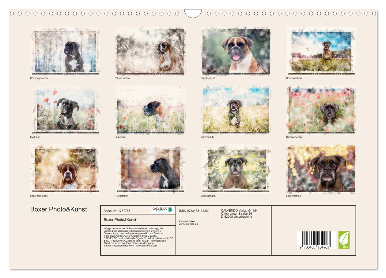 Bild: 9783435134281 | Boxer Photo&amp;Kunst (Wandkalender 2025 DIN A3 quer), CALVENDO...