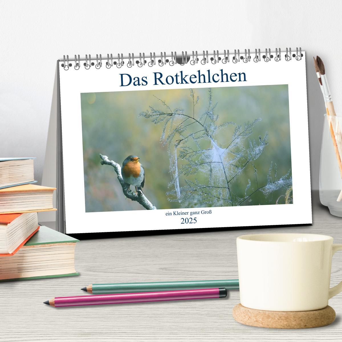 Bild: 9783435166442 | Das Rotkehlchen, ein Kleiner ganz Groß (Tischkalender 2025 DIN A5...