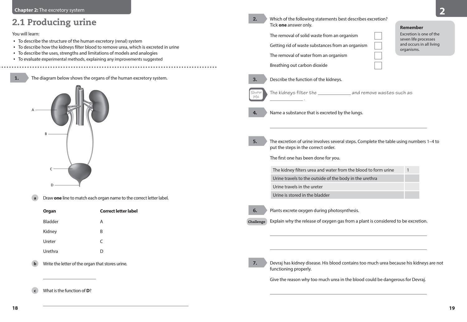 Bild: 9780008364335 | Lower Secondary Science Workbook: Stage 9 | Taschenbuch | Englisch