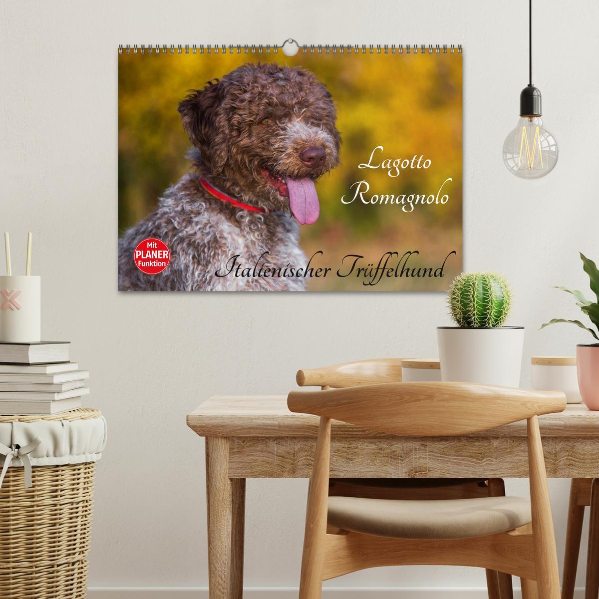 Bild: 9783435544912 | Lagotto Romagnolo - Italienischer Trüffelhund (Wandkalender 2025...