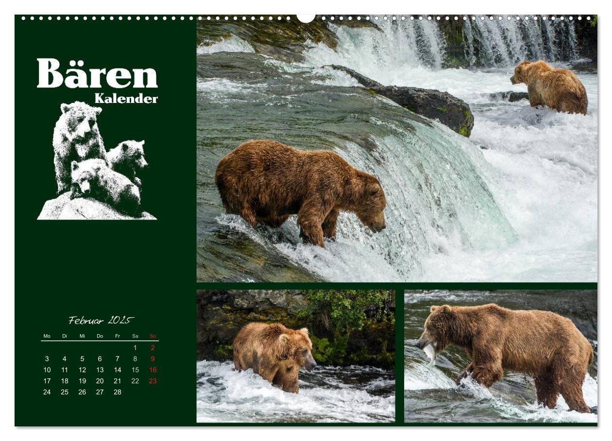 Bild: 9783435709519 | Bärenkalender (Wandkalender 2025 DIN A2 quer), CALVENDO Monatskalender