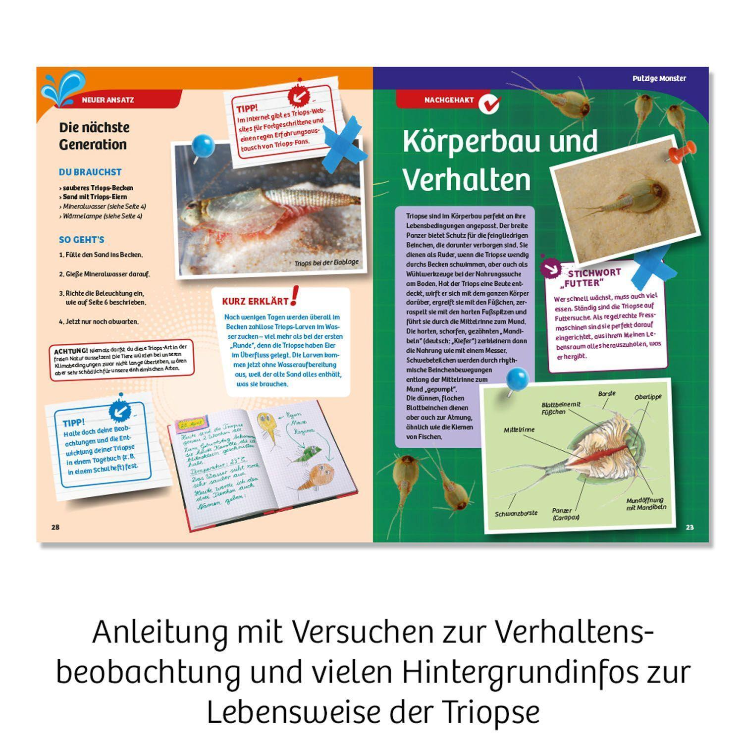 Bild: 4002051633073 | Triops-Welt | Experimentierkasten | Spiel | Brettspiel | Deutsch