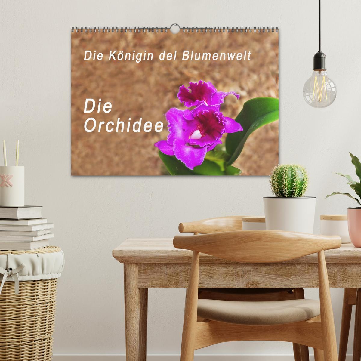 Bild: 9783435285501 | Die Königin der Blumenwelt, die Orchidee (Wandkalender 2025 DIN A3...