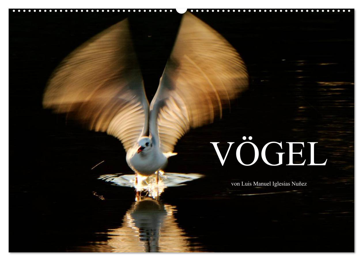 Cover: 9783435806720 | VÖGEL (Wandkalender 2025 DIN A2 quer), CALVENDO Monatskalender | Nuñez