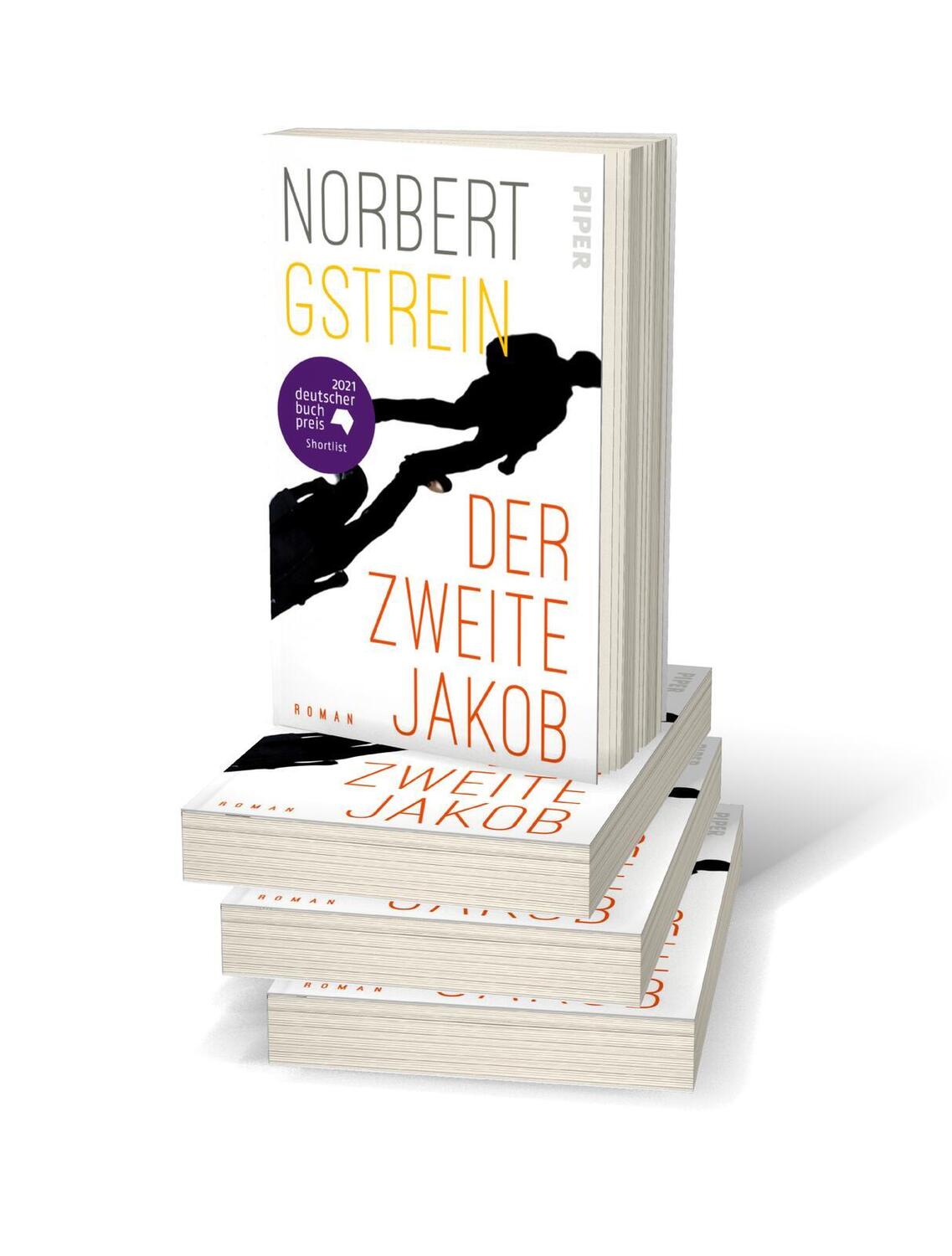 Bild: 9783492317702 | Der zweite Jakob | Roman | Norbert Gstrein | Taschenbuch | 448 S.