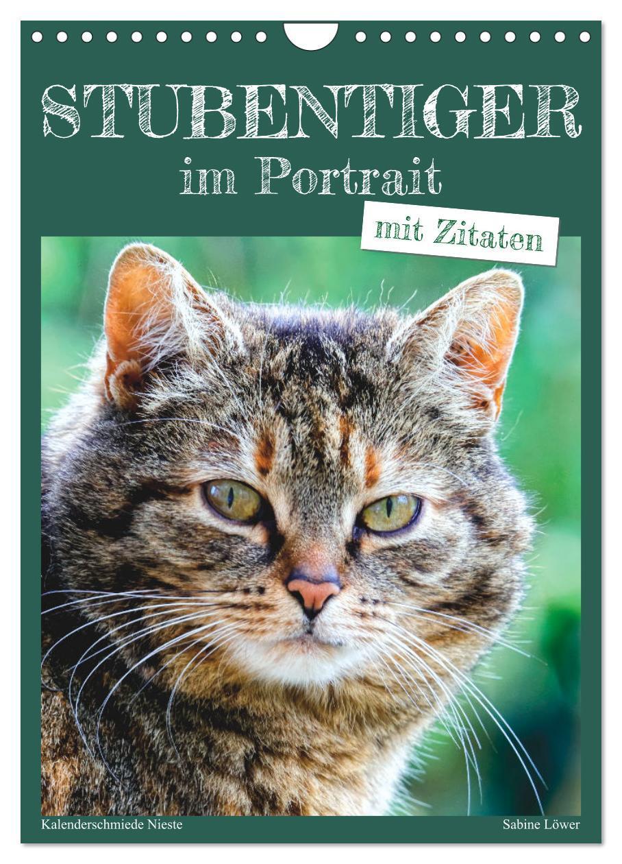 Cover: 9783435896493 | Stubentiger im Portrait (Wandkalender 2025 DIN A4 hoch), CALVENDO...