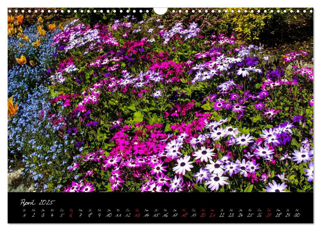 Bild: 9783435775767 | Butchart Gardens 2025 (Wandkalender 2025 DIN A3 quer), CALVENDO...