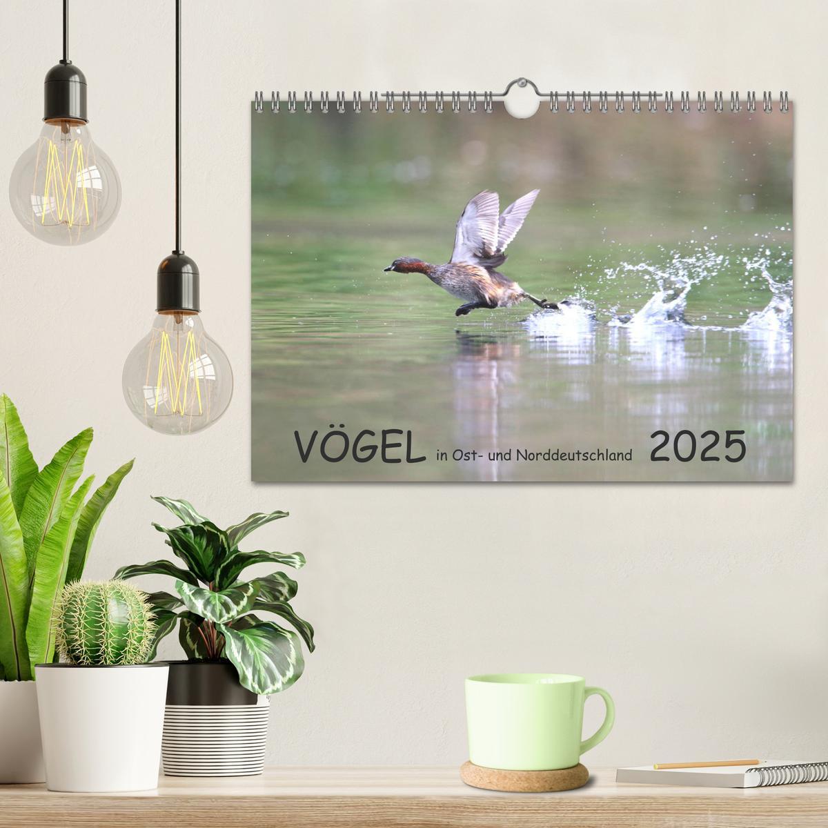 Bild: 9783435180240 | Vögel in Ost- und Norddeutschland 2025 (Wandkalender 2025 DIN A4...