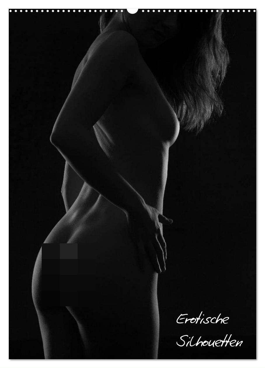 Cover: 9783457080450 | Erotische Silhouetten / CH-Version (Wandkalender 2025 DIN A2 hoch),...