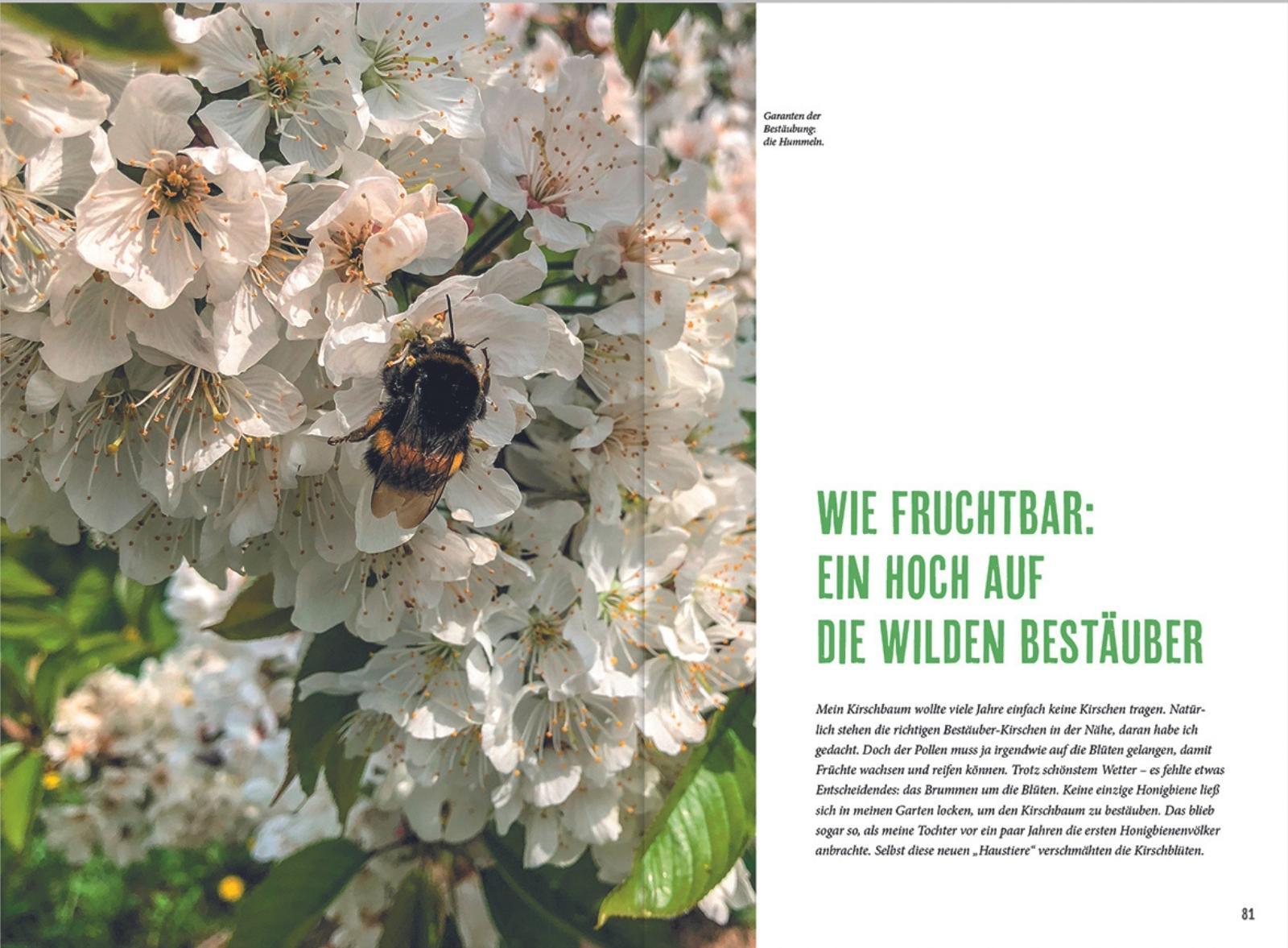 Bild: 9783784356020 | MDR Garten - Richtig gärtnern für Nützlinge | Brigitte Goss | Buch