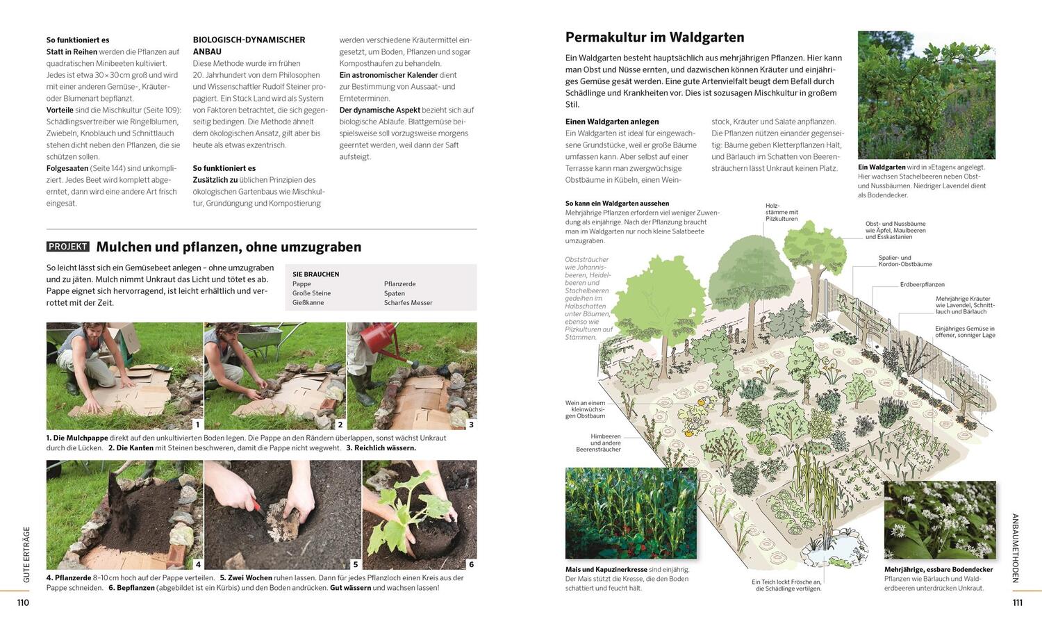 Bild: 9783831041008 | Das große Buch der Selbstversorgung | Dick Strawbridge (u. a.) | Buch