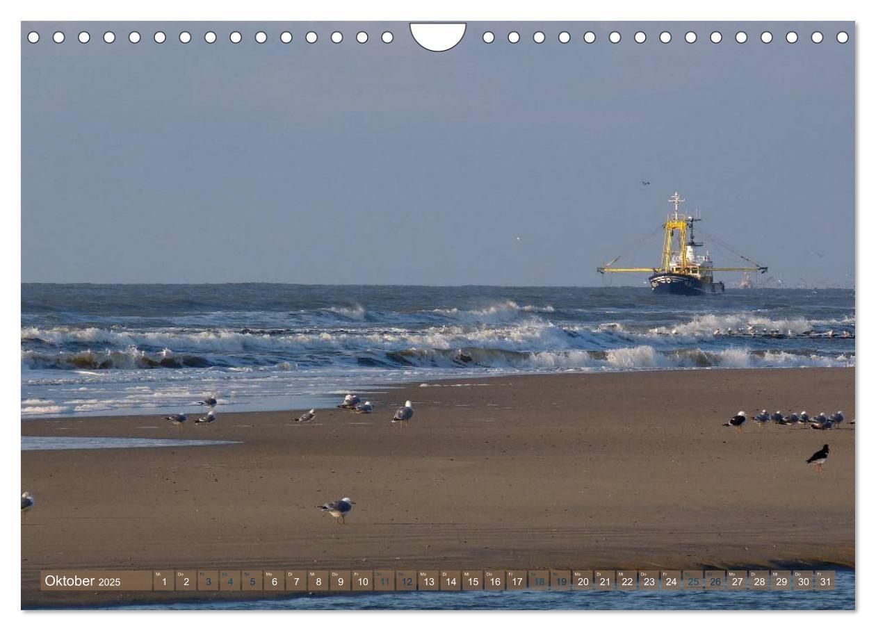 Bild: 9783435763597 | Strandwanderungen auf Texel (Wandkalender 2025 DIN A4 quer),...