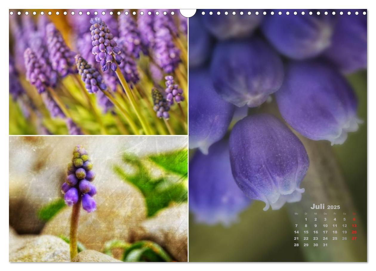 Bild: 9783435612109 | Blumenreise 2025 (Wandkalender 2025 DIN A3 quer), CALVENDO...