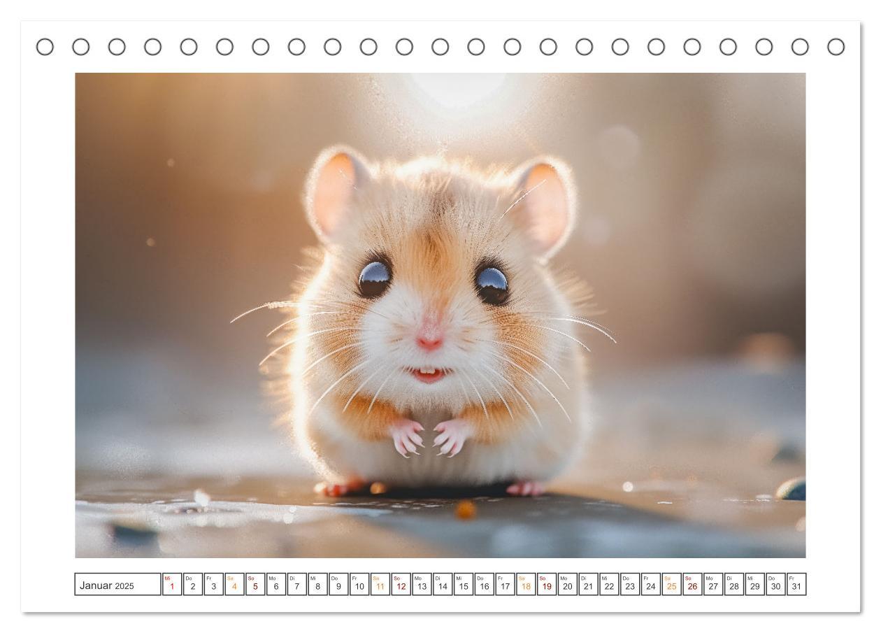 Bild: 9783435084876 | Lustige Hamster (Tischkalender 2025 DIN A5 quer), CALVENDO...