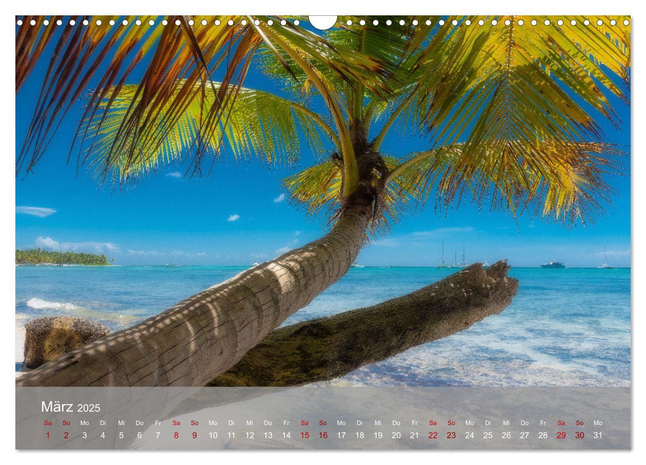 Bild: 9783435022465 | Karibik Traum Isla Saona (Wandkalender 2025 DIN A3 quer), CALVENDO...