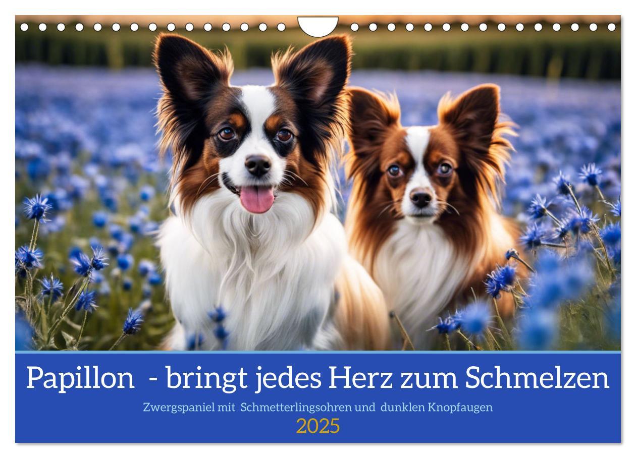 Cover: 9783457124581 | Papillon - bringt jedes Herz zum Schmelzen (Wandkalender 2025 DIN...