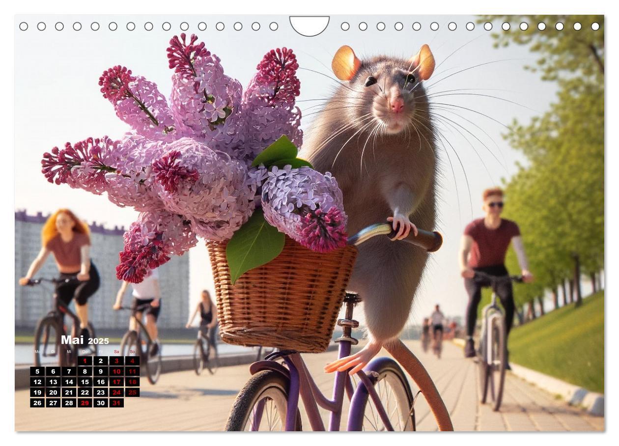 Bild: 9783383837357 | Lustige Ratten (Wandkalender 2025 DIN A4 quer), CALVENDO...