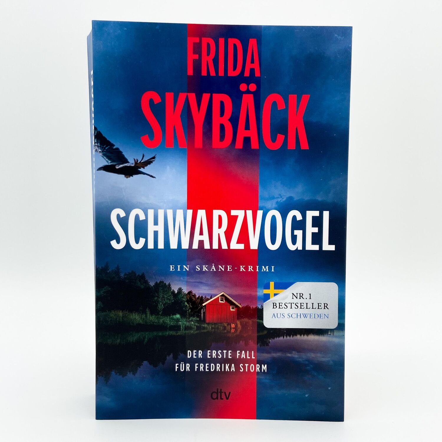 Bild: 9783423263689 | Schwarzvogel | Frida Skybäck | Taschenbuch | Fredrika Storm | 448 S.