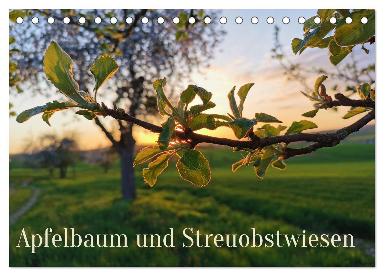 Cover: 9783435061631 | Apfelbaum und Streuobstwiesen (Tischkalender 2025 DIN A5 quer),...