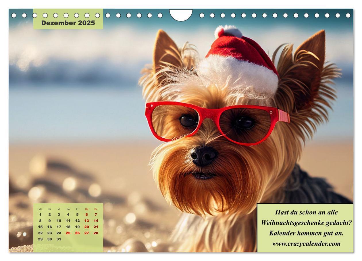 Bild: 9783383920523 | Der humoristische Yorkshire Terrier Kalender (Wandkalender 2025 DIN...