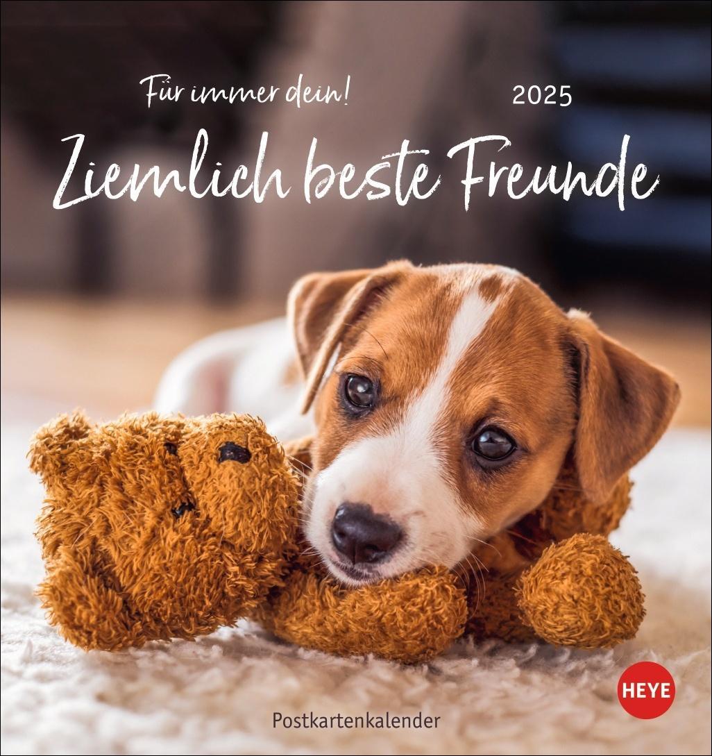 Cover: 9783756407064 | Ziemlich beste Freunde Postkartenkalender 2025 - Für immer dein | Heye