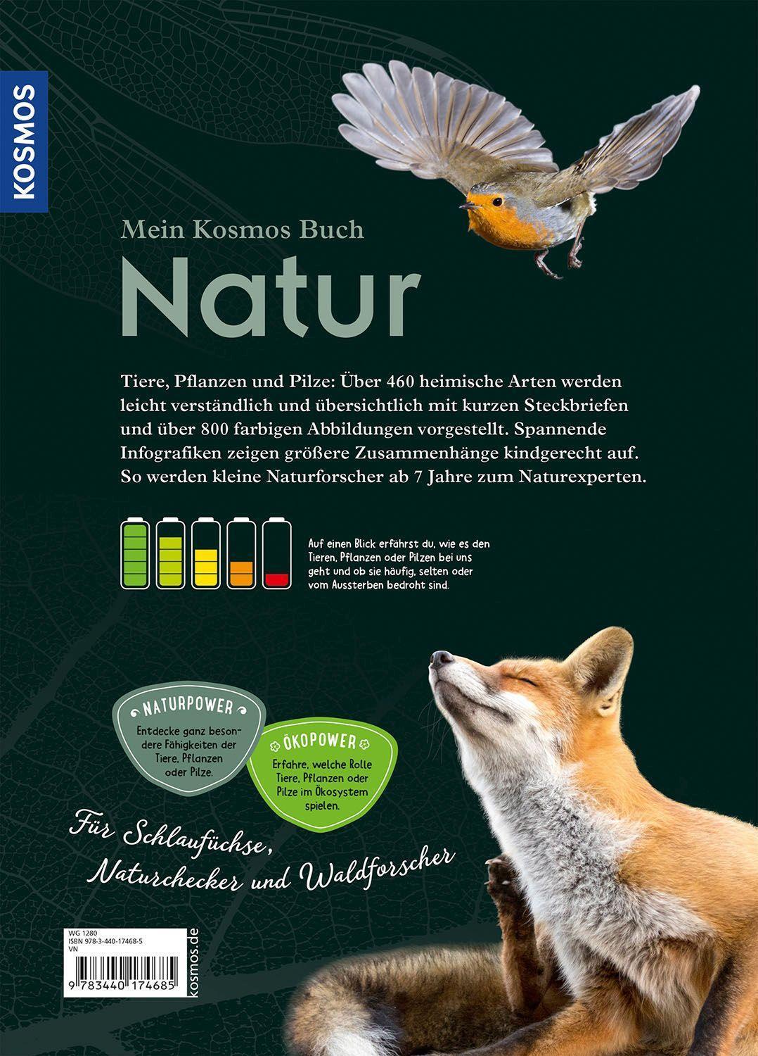 Bild: 9783440174685 | Mein Kosmos-Buch Natur | Bärbel Oftring | Buch | 208 S. | Deutsch