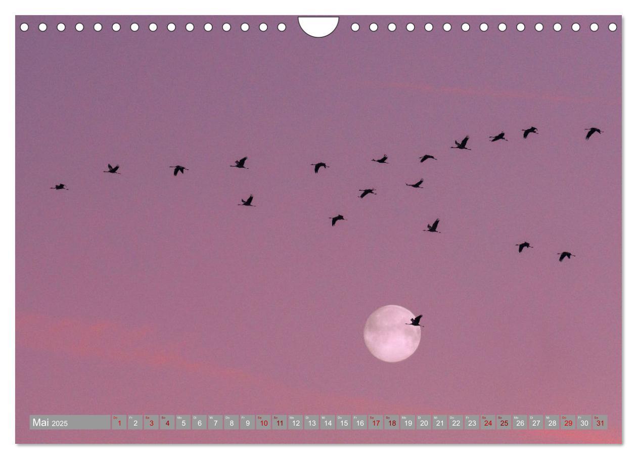 Bild: 9783435062300 | Vollmond - Momente der Ruhe (Wandkalender 2025 DIN A4 quer),...