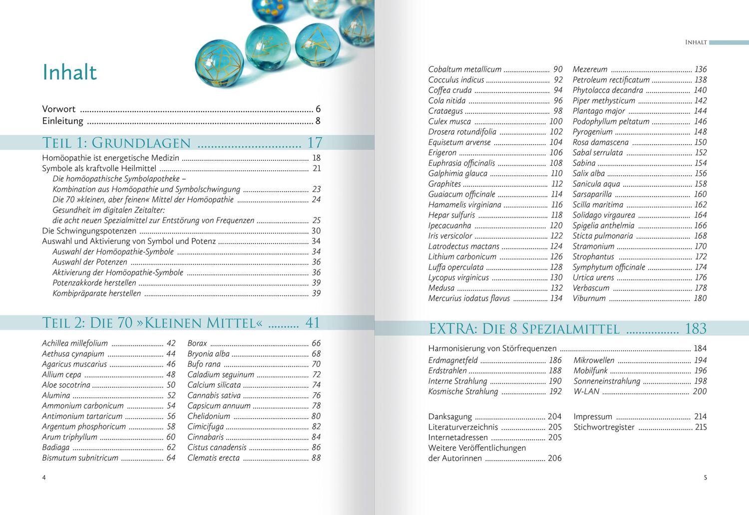 Bild: 9783863745257 | Homöopathische Symbolapotheke. 70 wichtige "Kleine Mittel" | Buch