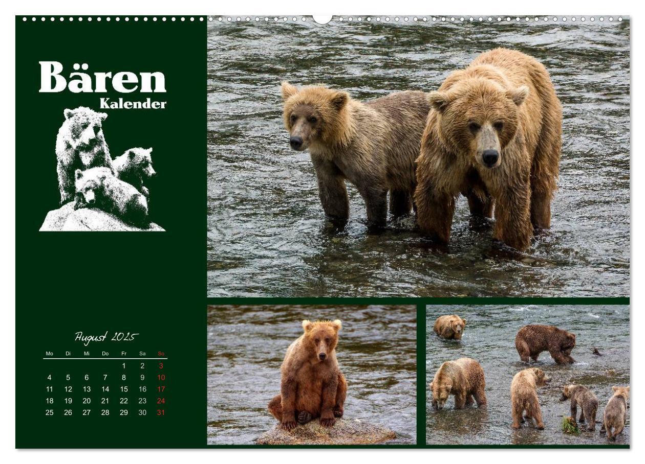 Bild: 9783435709519 | Bärenkalender (Wandkalender 2025 DIN A2 quer), CALVENDO Monatskalender