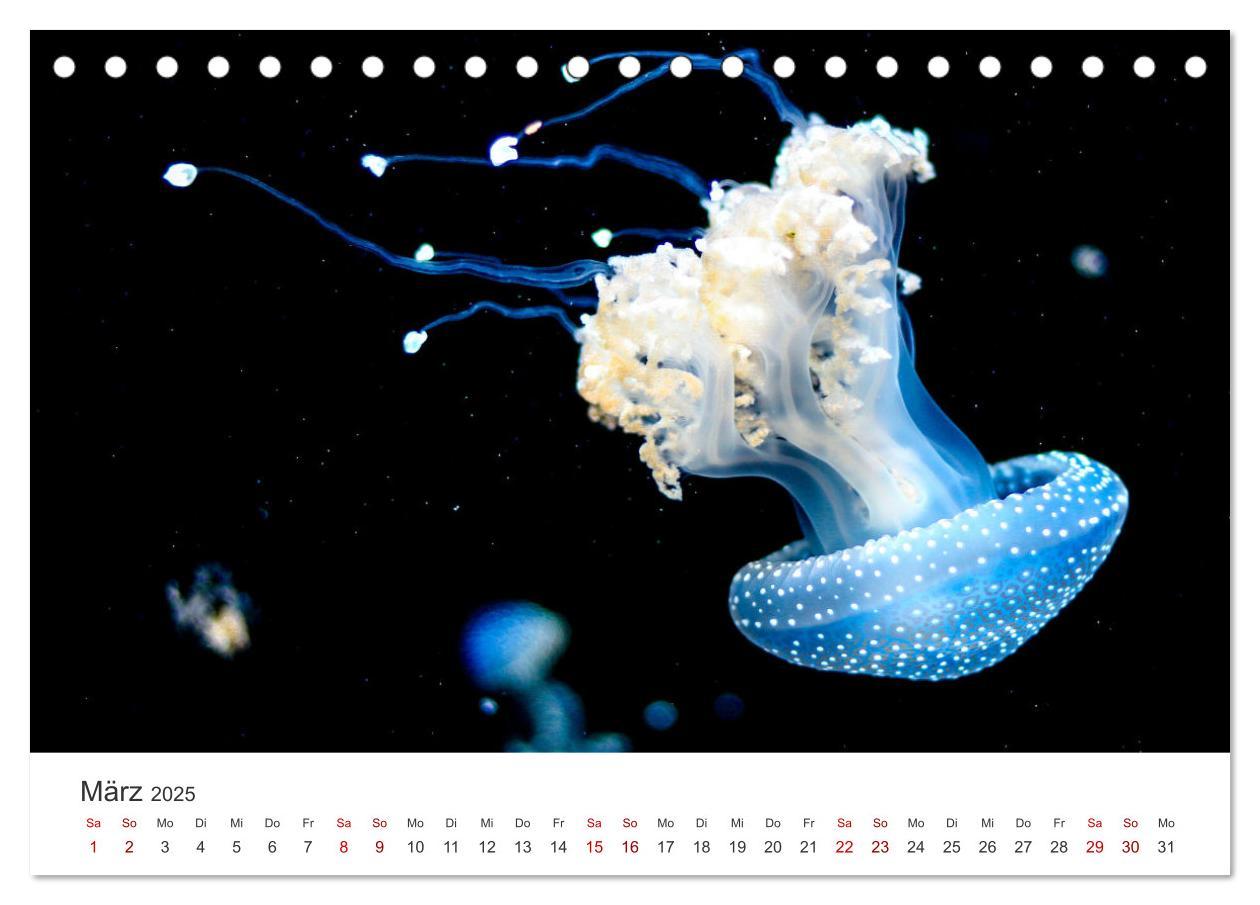 Bild: 9783383937552 | Tiefsee - Ein Abenteuer ins Unbekannte. (Tischkalender 2025 DIN A5...