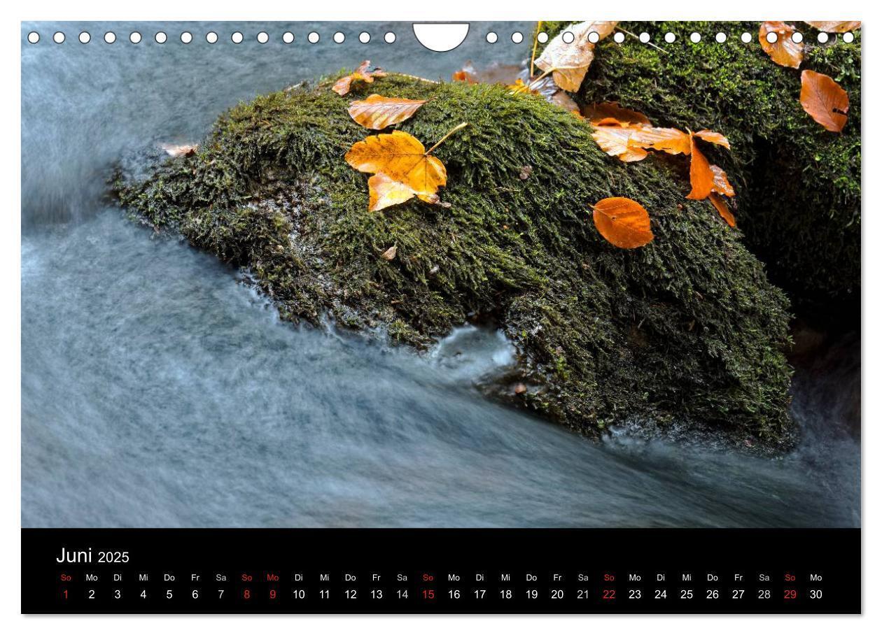 Bild: 9783435537990 | Herbst im Nationalpark Bayerischer Wald (Wandkalender 2025 DIN A4...