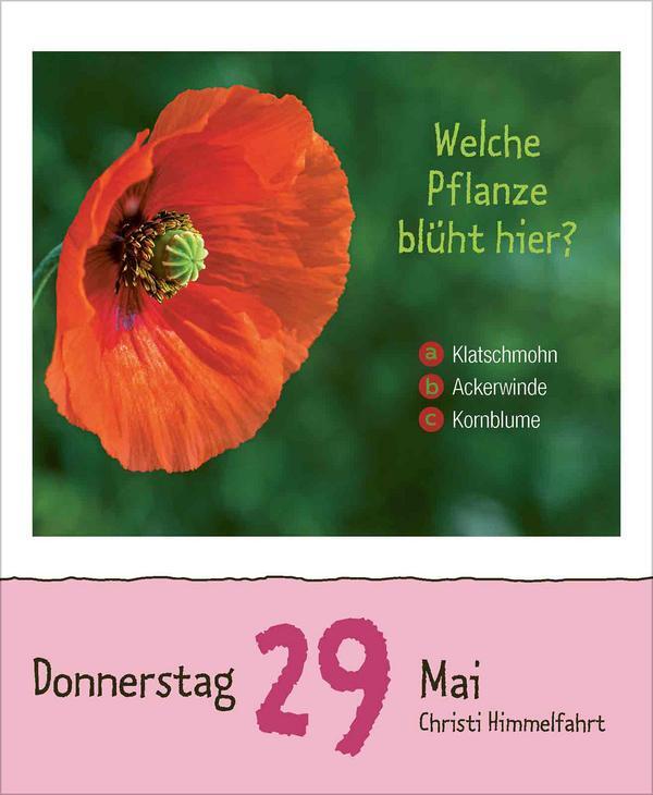 Bild: 9783731877394 | Kinderwissen 2025 | Verlag Korsch | Kalender | 328 S. | Deutsch | 2025