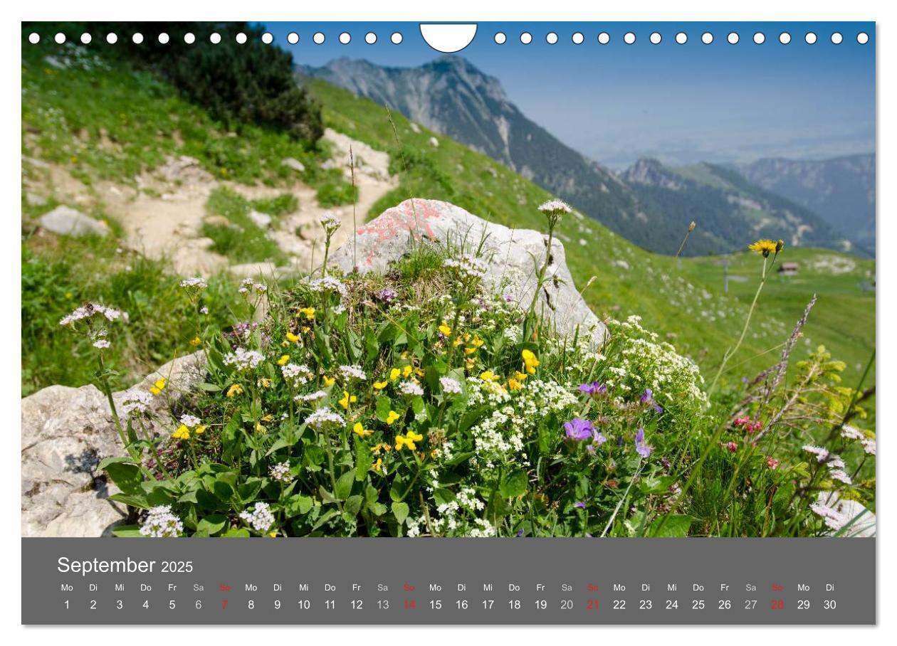 Bild: 9783435728930 | Tannheimer Tal (Wandkalender 2025 DIN A4 quer), CALVENDO...