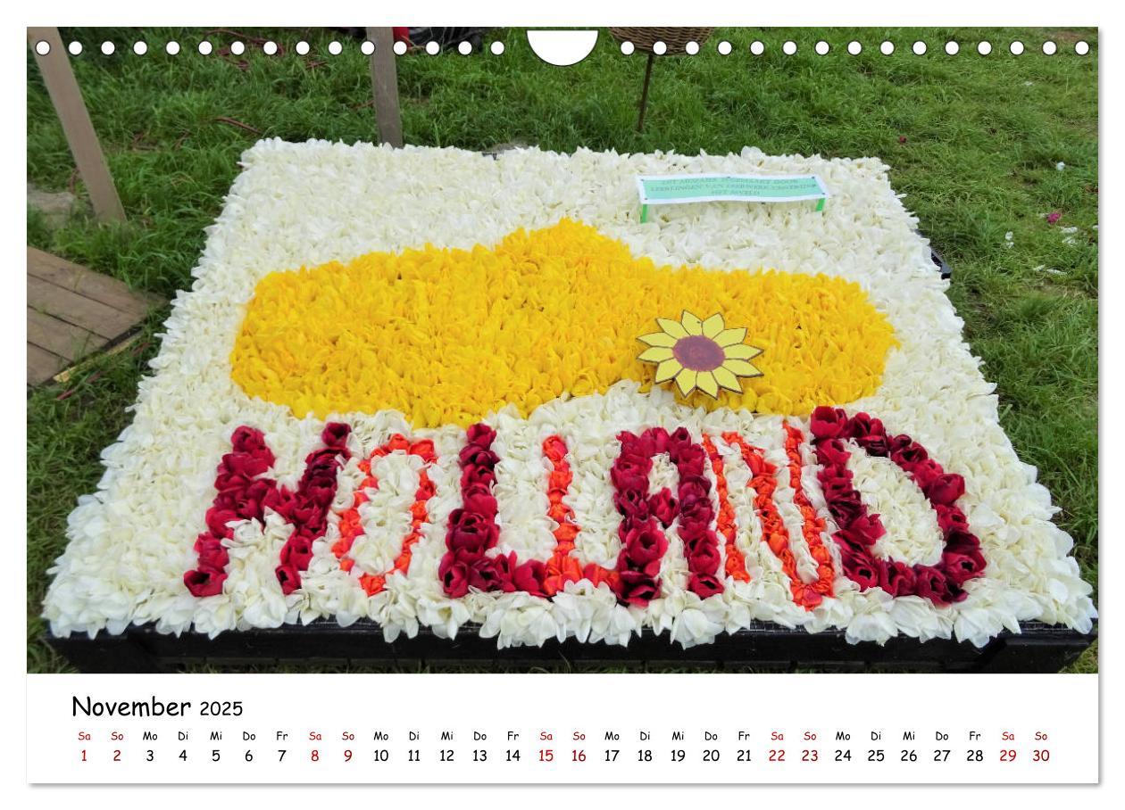 Bild: 9783435261840 | Tulpenblüte in Flevoland 2025 (Wandkalender 2025 DIN A4 quer),...