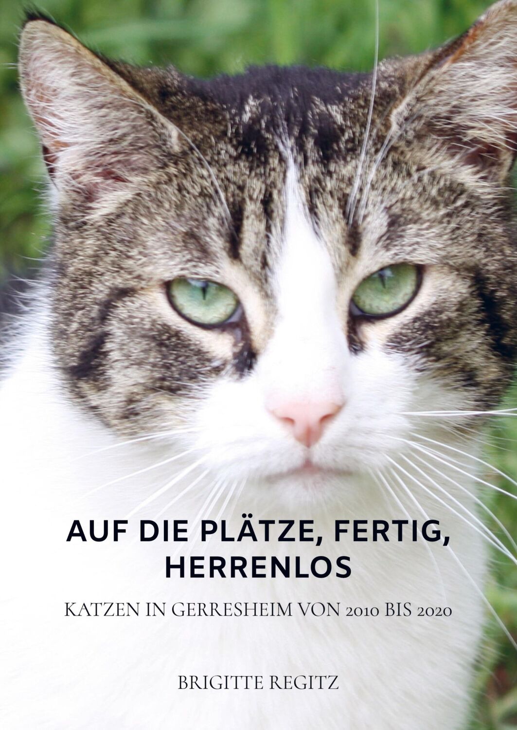 Cover: 9789403604299 | Auf die Plätze, fertig, herrenlos | Brigitte Regitz | Taschenbuch