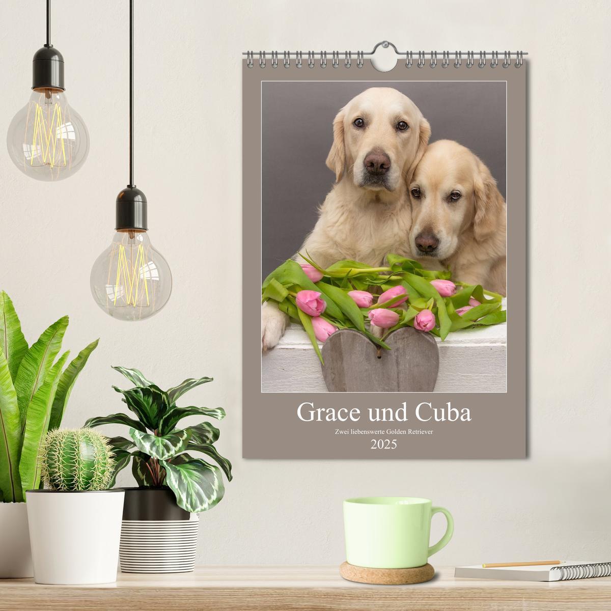 Bild: 9783435948130 | Grace und Cuba - Zwei liebenswerte Golden Retriever (Wandkalender...