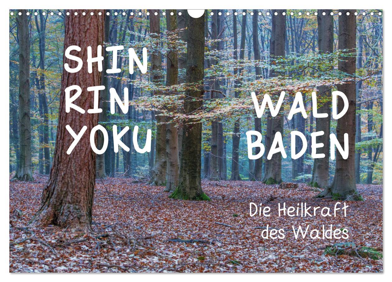 Cover: 9783435301997 | Shinrin yoku - Waldbaden 2025 (Wandkalender 2025 DIN A3 quer),...