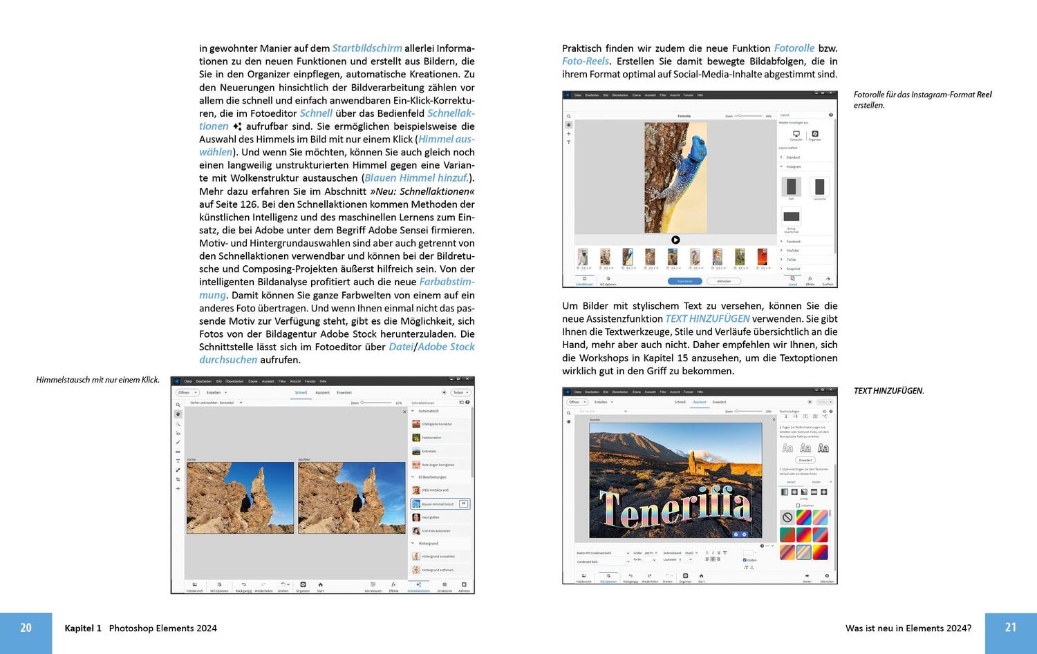 Bild: 9783832806484 | Photoshop Elements 2024 - Das umfangreiche Praxisbuch | Sänger (u. a.)