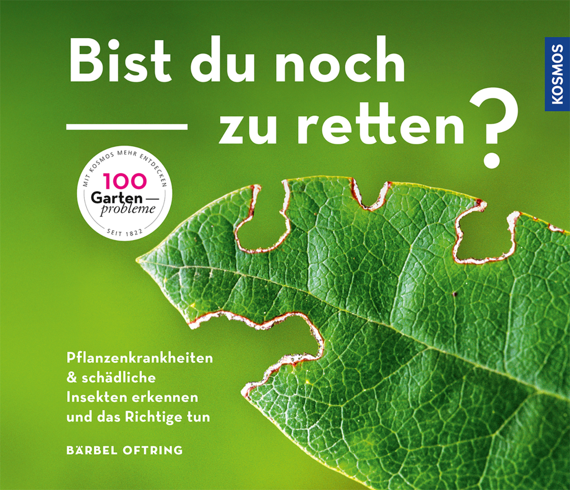 Cover: 9783440159682 | Bist du noch zu retten? | Bärbel Oftring | Taschenbuch | 144 S. | 2018