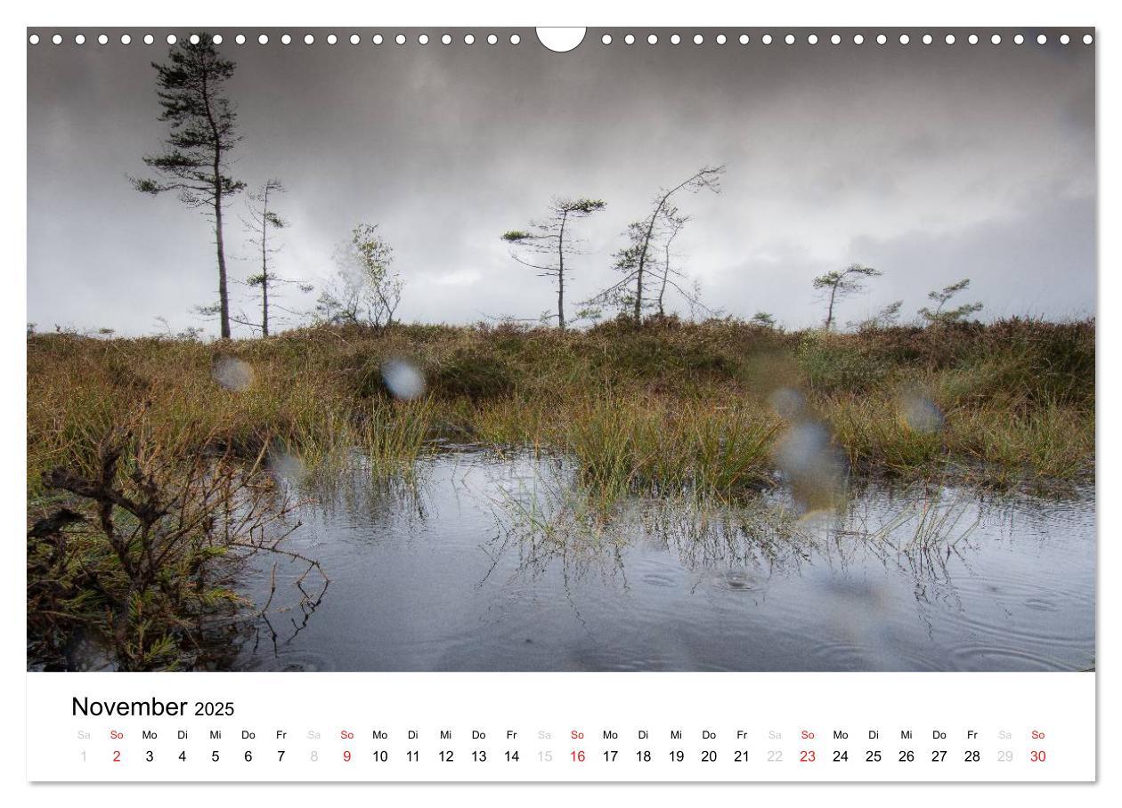 Bild: 9783435499380 | Naturerlebnis im Biosphärenreservat Rhön (Wandkalender 2025 DIN A3...