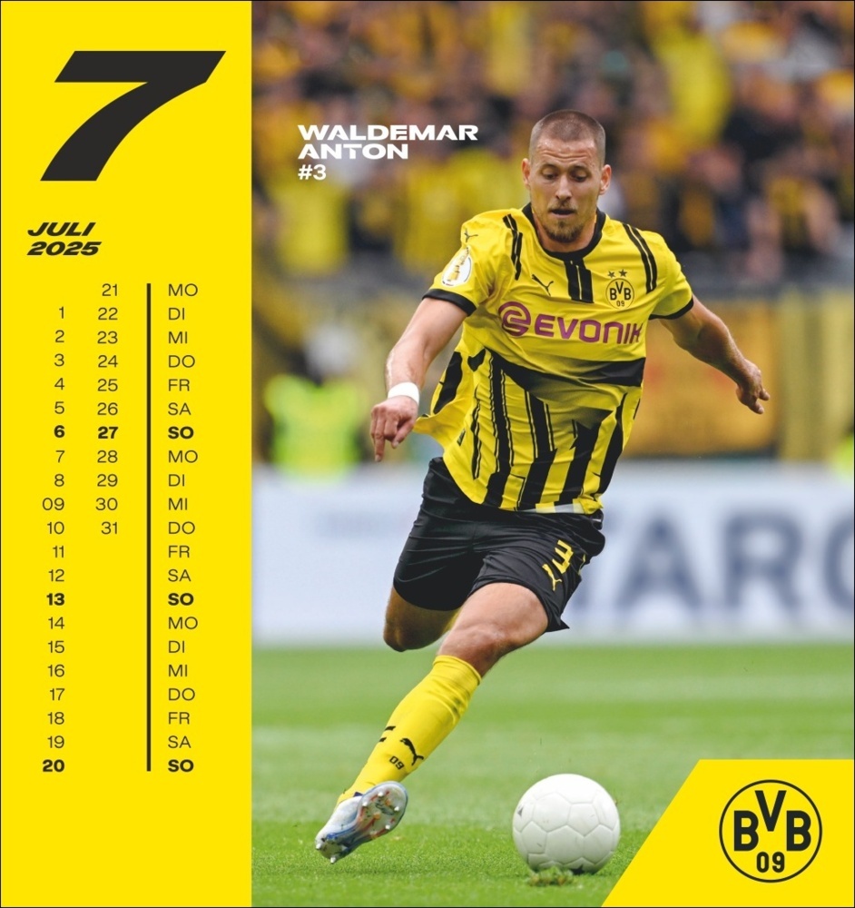 Bild: 9783756405473 | BVB Postkartenkalender 2025 | Kalender | Spiralbindung | 13 S. | 2025