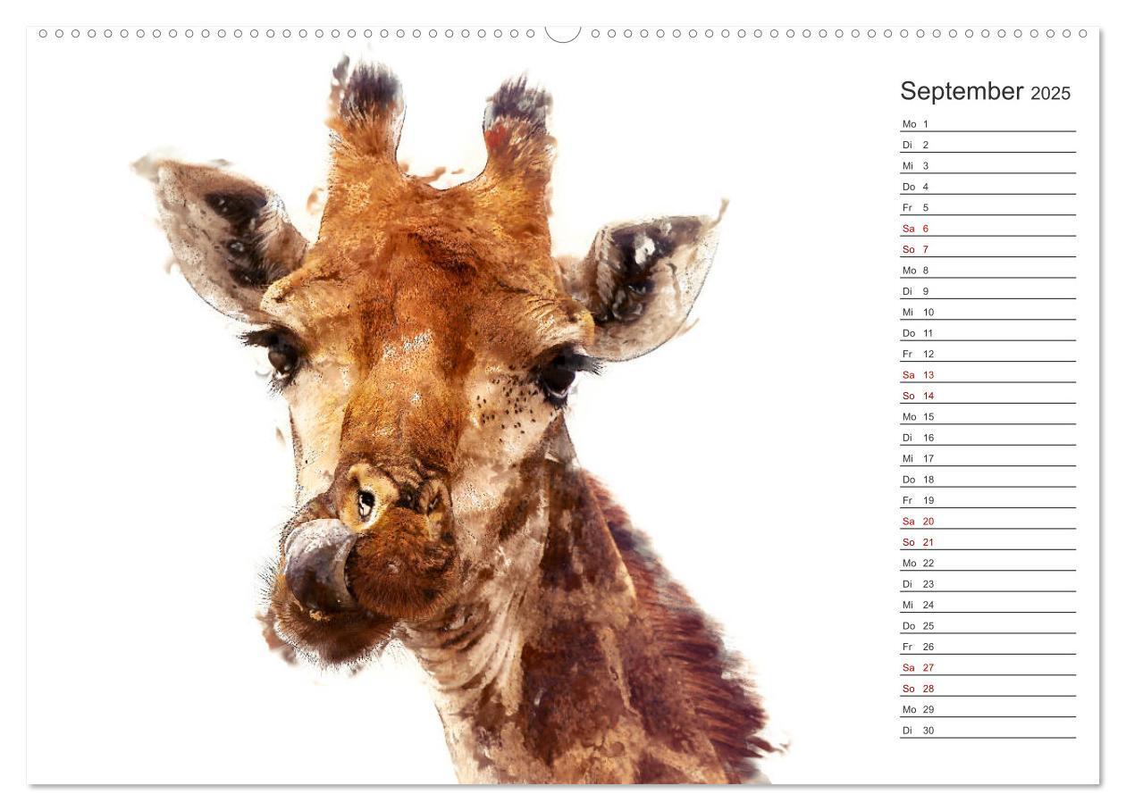 Bild: 9783435403387 | Tierportraits - Fine Art (Wandkalender 2025 DIN A2 quer), CALVENDO...